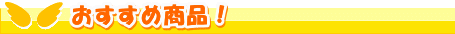 おすすめ商品