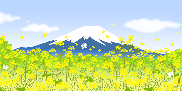 絵てぬぐい 富士山と菜の花春景色｜▽アイテム・用途で選ぶ,絵てぬぐい,絵てぬぐい｜てぬぐいの濱文様ネットショップ