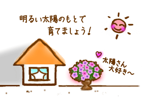 カリブラコア お花屋さんの育て方 ゲキハナ感激安心のお花屋さん 本店