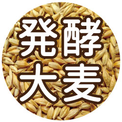 発酵大麦