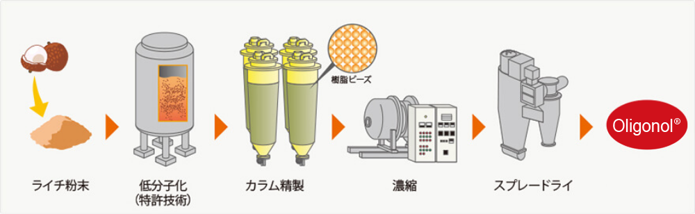 低分子化ライチポリフェノール『オリゴノール(Oligonol)』の製造工程