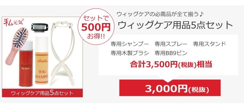 ウィッグケア５点セット５００円お得！