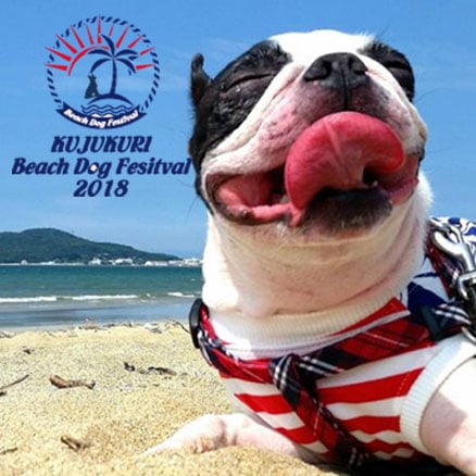 BEACH DOG FESTIVAL 2018