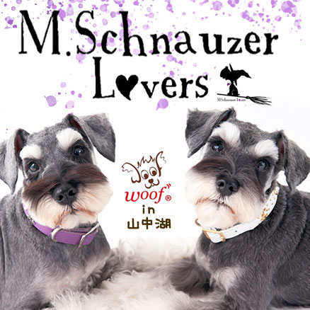 M.Schnauzer Lovers