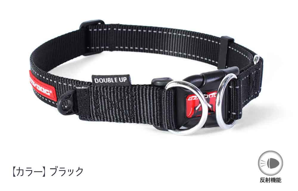 EZYDOG �֥�å�