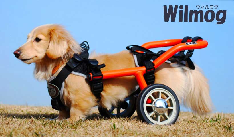 犬用車いす Wilmog（ウィルモグ）製品紹介