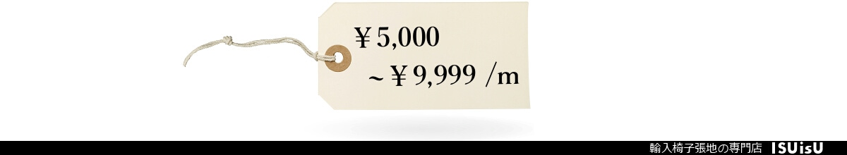 1m 9999円　いすの生地