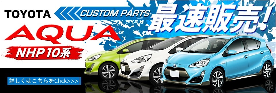 ������ NHP10��
