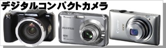 �ǥ����륫���β���