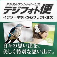 ���󥿡��ͥåȥץ�����ʸ������ �ǥ��ե�����