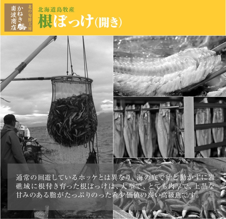 肉厚でたっぷり脂がのった極上の旨み。幻の高級魚、根ぼっけ。