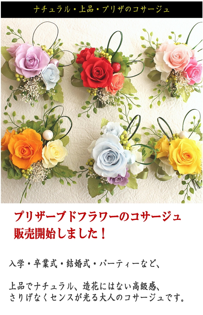 プリザーブドフラワーのコサージュ/プリザ 入学 卒業 結婚式 コサージ パーティ フォーマル-Kankan Flower Shop