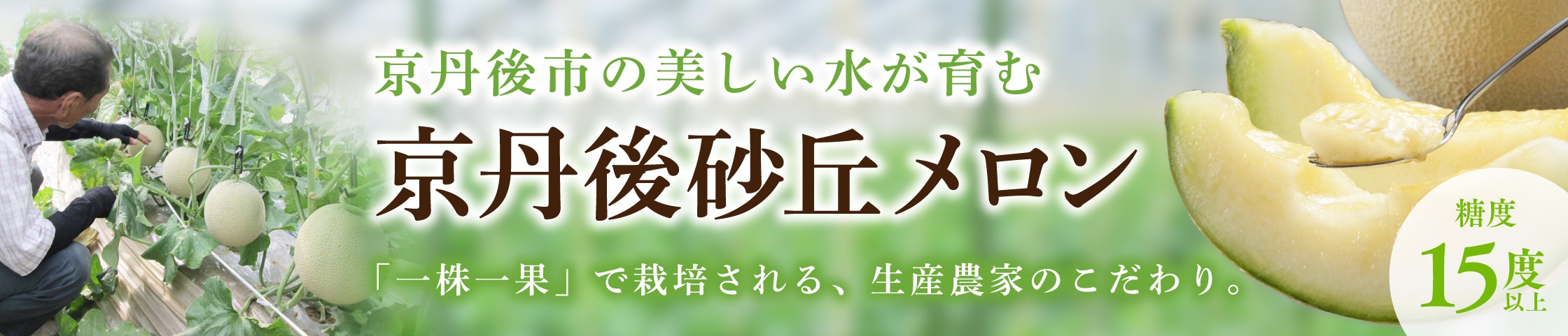 京丹後砂丘メロン