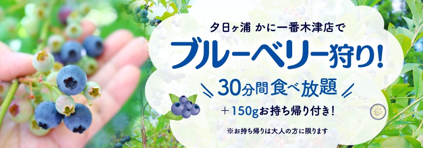 かに一番ブルーベリー狩り