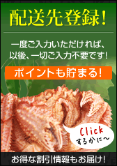 ���ˤޤߤ쿷�������Ͽ