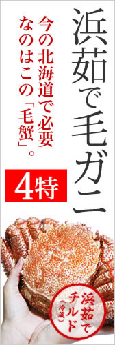 �ӥ���