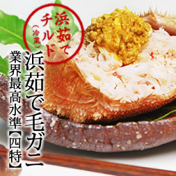 �ӥ���