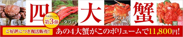 ���祬�˥��å�