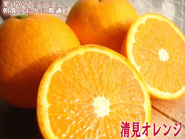 �²λ��û������������
