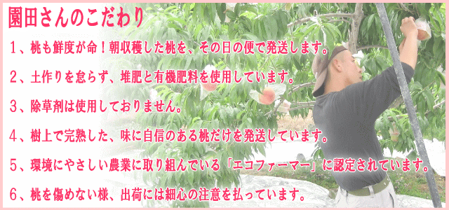 園田さんの桃へのこだわり