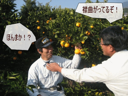 �͡��֥륪��󥸡����٤Ƥߤơ�