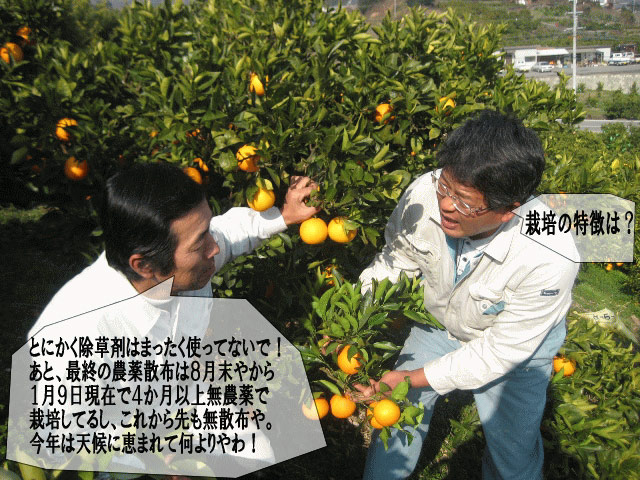 �͡��֥륪��󥸡���̣�����衪