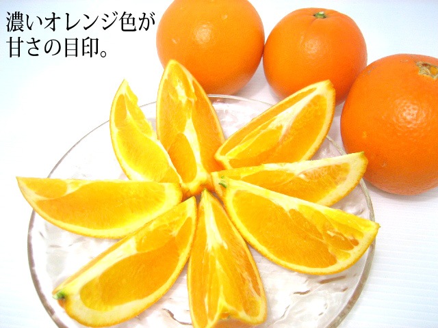 ǻ��̣��ʡ�ܥ͡��֥�򤼤Ҥɤ�����