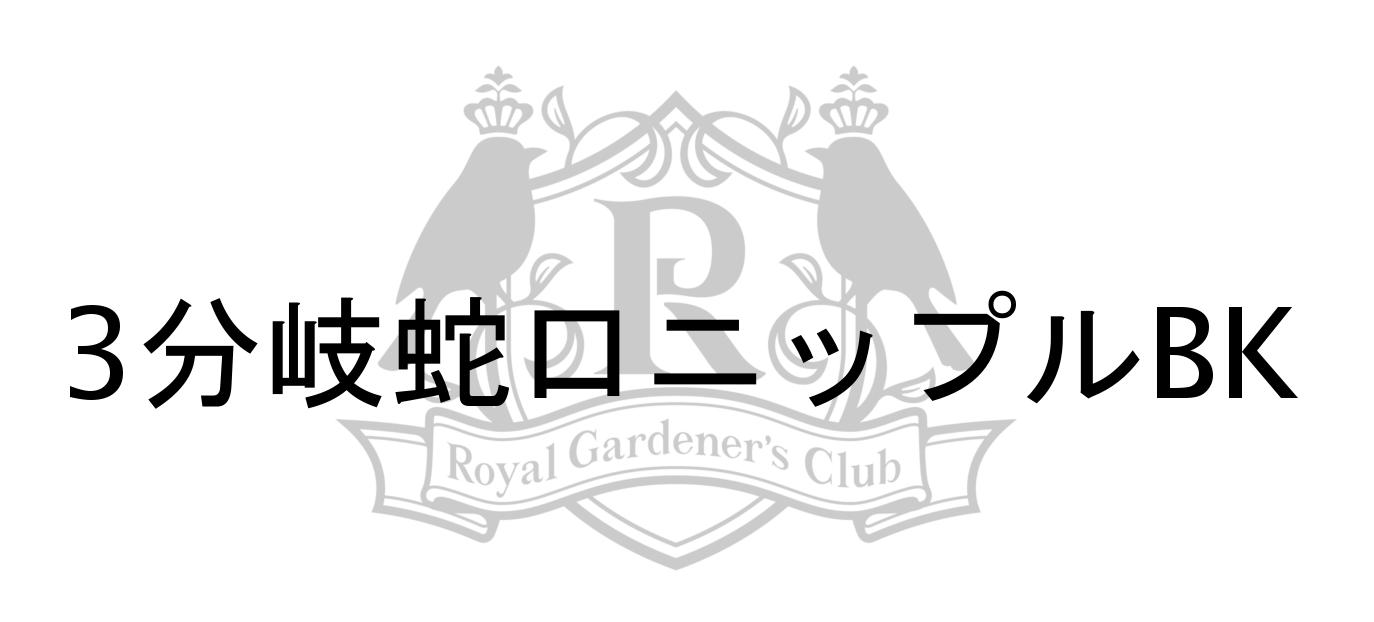 3ʬ���ظ��˥åץ�BK���Ҳ�