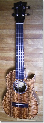 The Champion Uke of the 6th National Ukulele Contest Japan