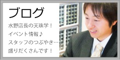 ブログ