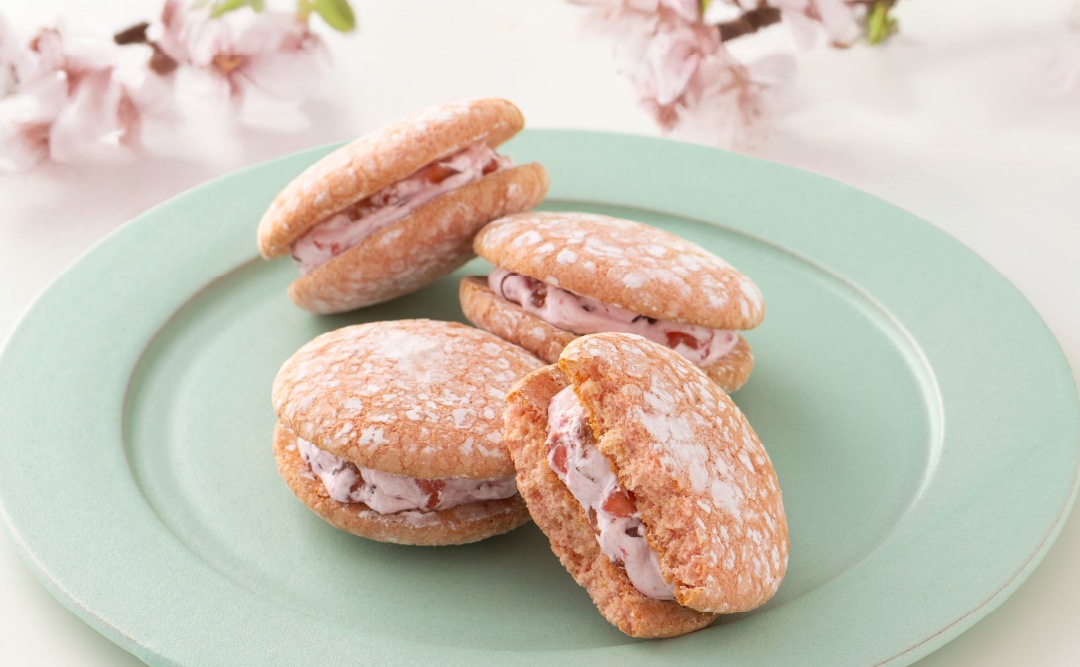 ���֤ͤä��ʤ������