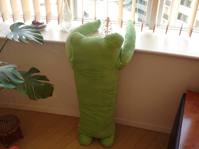 けろーにょ　濃緑　LLサイズ抱き枕