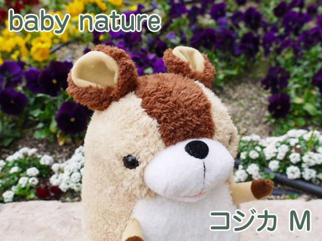 baby nature ٥ӡʥ 