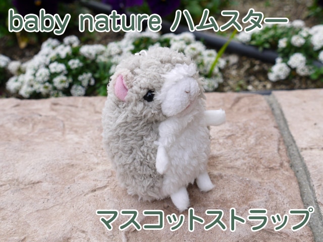 baby nature ٥ӡʥ ϥॹ