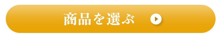 今すぐ購入する