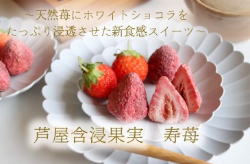 含浸果実　寿苺