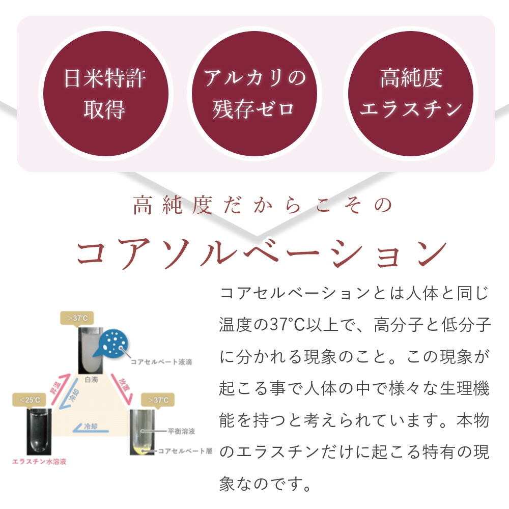 季令（KIREI） eトナー（ イートナー ） 100ml 高純度エラスチンが溶けこんだ 繊細なミスト 整肌 弱酸性 保水 トナー後に使用するスキンケアの浸透をサポート ハリ 弾力 透明感 保湿 ターンオーバー ACTLAND