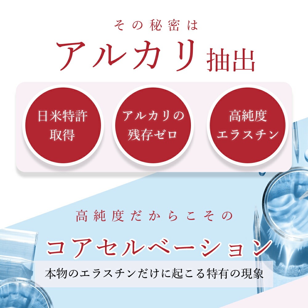 季令（ KIREI ） エラスチンカプセル 100粒