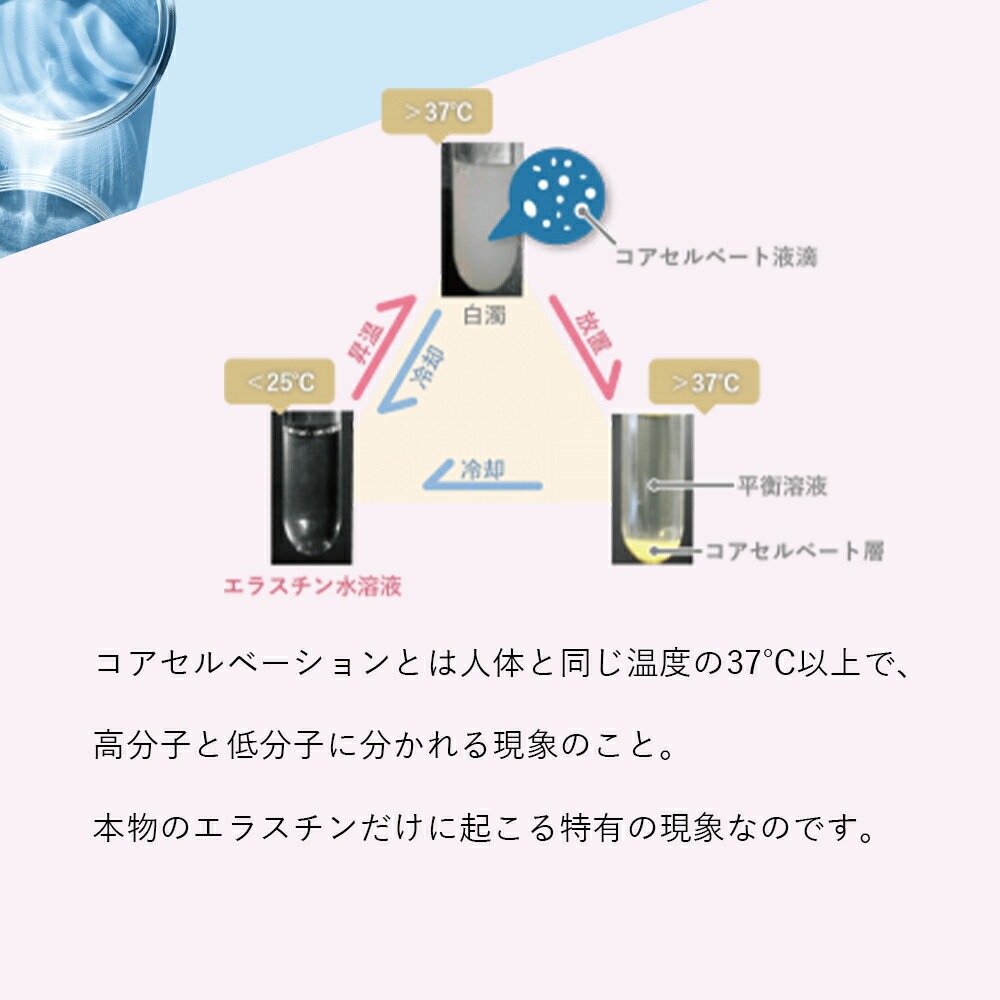 季令（ KIREI ） エラスチンカプセル 100粒