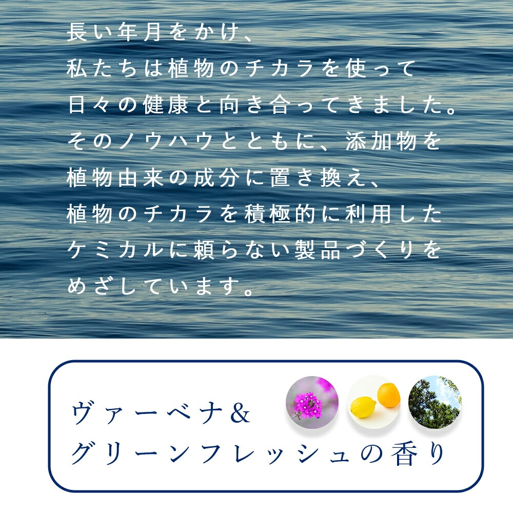 maumi shampoo（マウミ シャンプー） 300mlL ソイズ SOIS ノンシリコンシャンプー