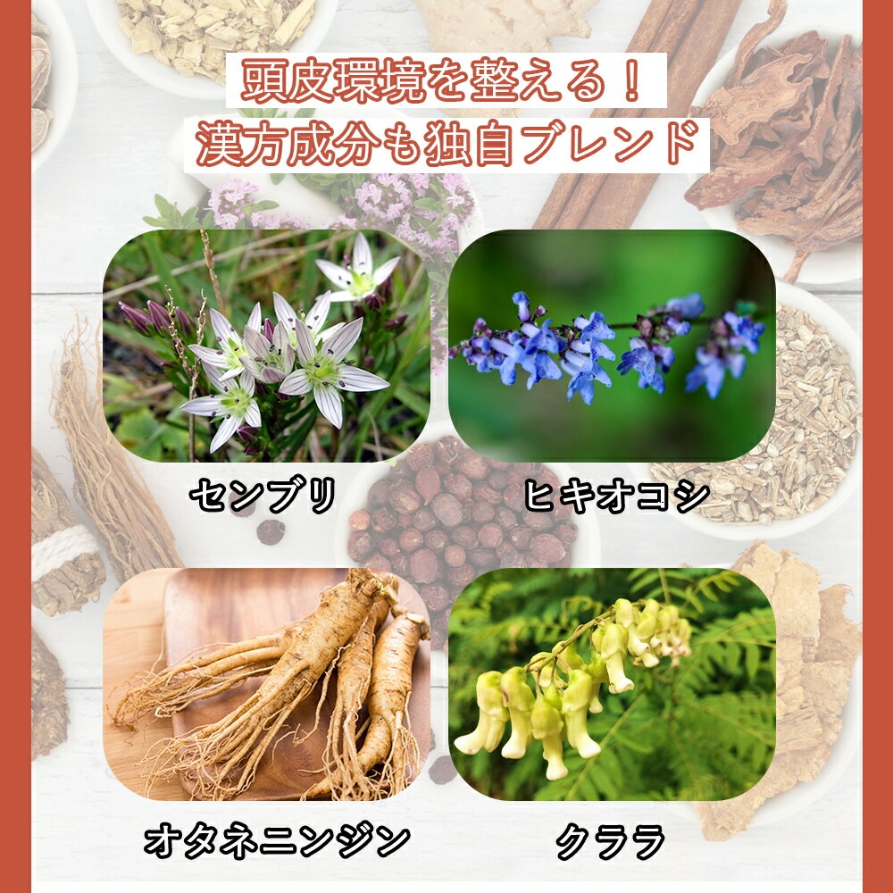 MarUmi スキャルプエナジードロップ（頭皮ローション） 120mL 