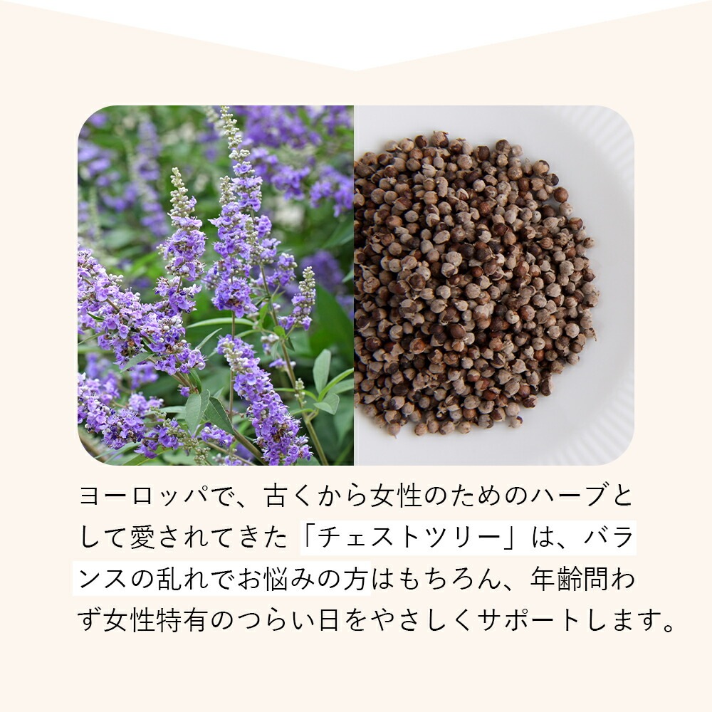 【お得な 2袋セット 】ハーブティー ウーマンバランス ブレンド 100g