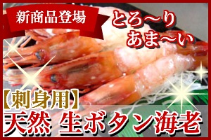 新商品登場!口の中でとろける、「天然ボタン海老」