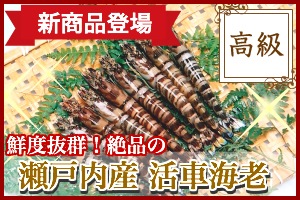 新商品!瀬戸内産 活車海老
