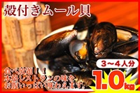���äפ���դ��ࡼ�볭1kg��500g��2�ѥå��˥磻��������ѥ������꥾�åȤ˺�Ŭ����̳�ѤǤ�����