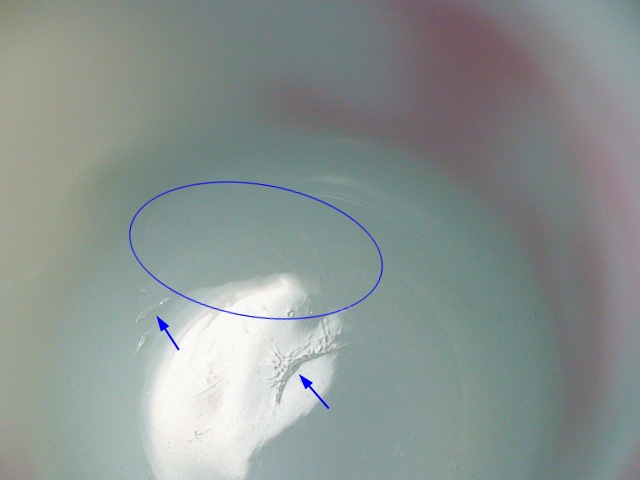 ե䡼󥰡SNOOPYNOEL ̡ԡΥ