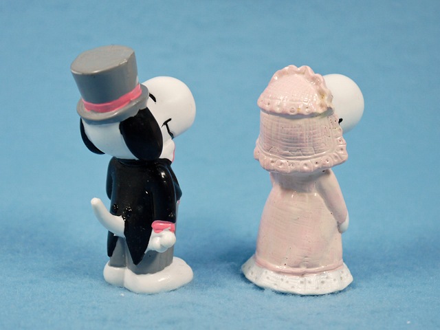 ӥơApplause 80' ̡ԡ PVCե奢groom & bride