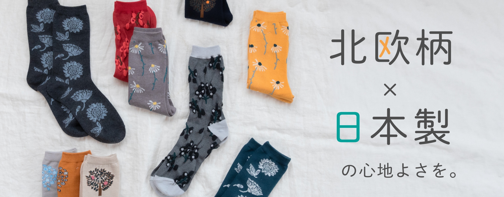 365�����������̲��ǥ����󥽥å���