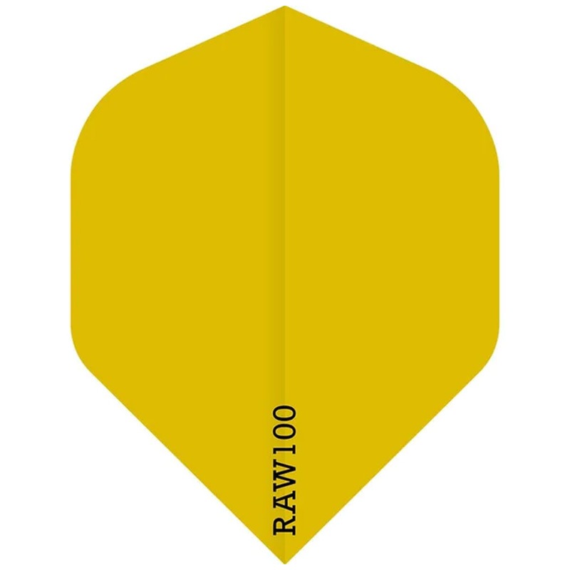 RAW100  ̵ ޤꤿ  ե饤 RAW100 Plain Darts Flight Standard