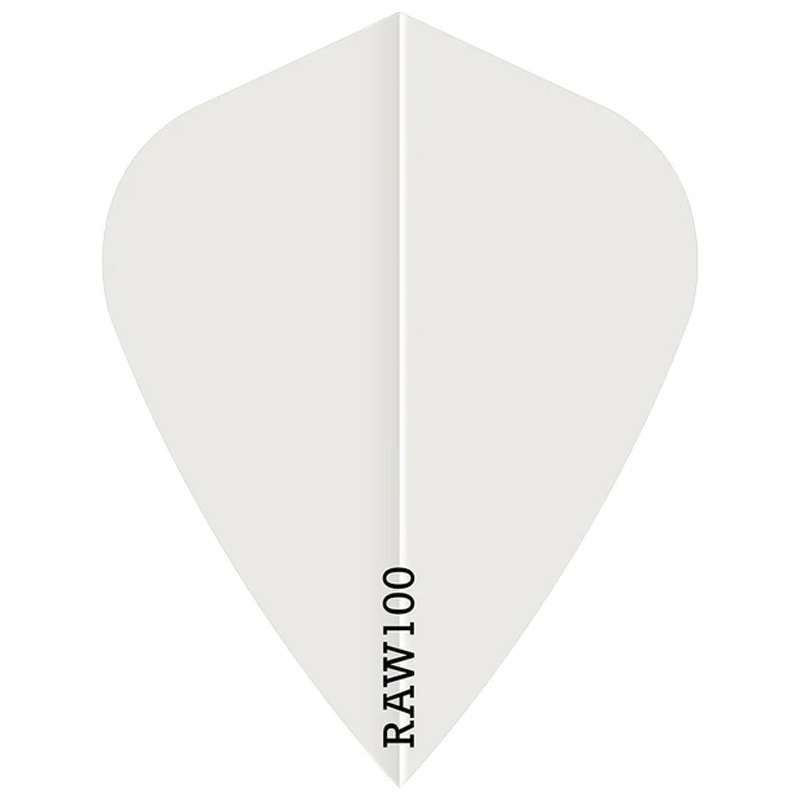 RAW100  ̵ ޤꤿ  ե饤 RAW100 Plain Darts Flight Kite